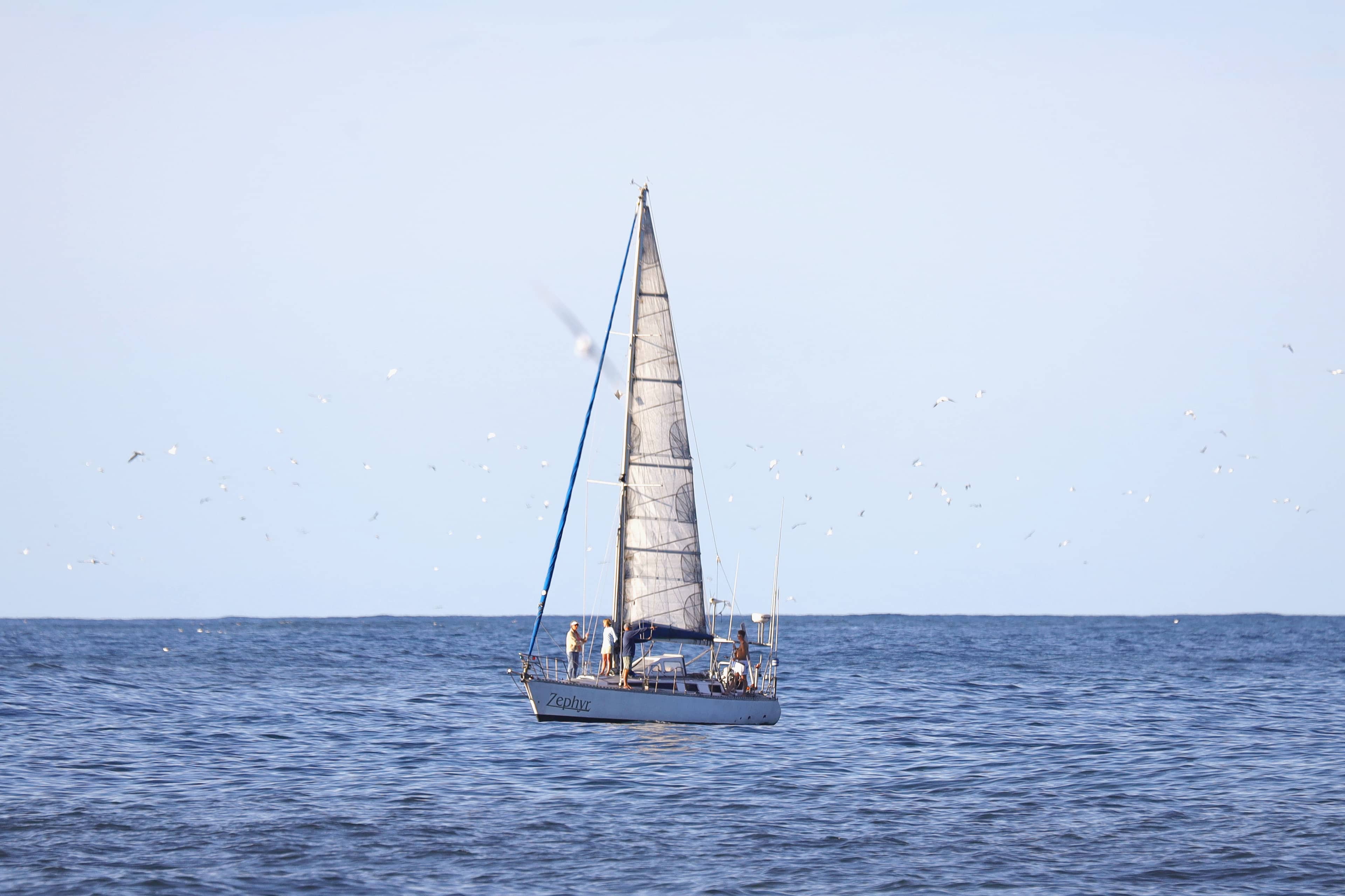 Sailing